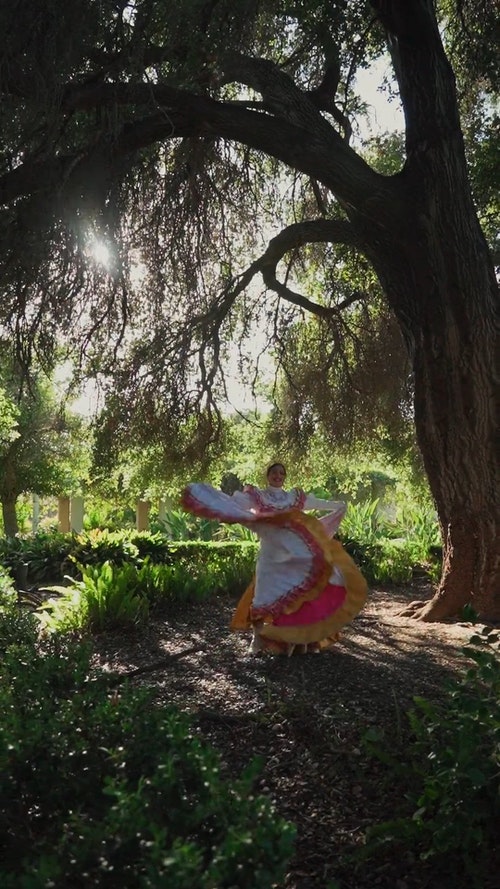有关cinco de mayo,传统服装,公园的免费素材视频