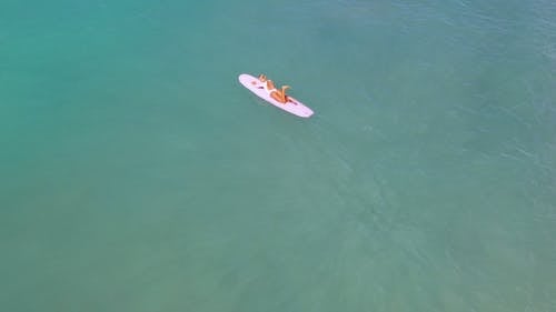 有关划桨, 女人, 海洋的免费素材视频
