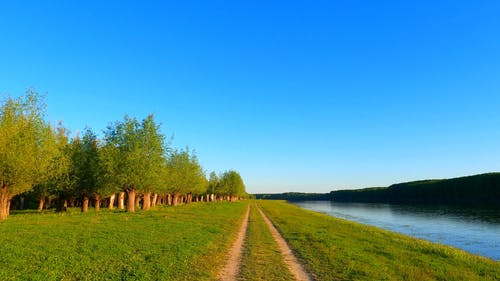 有关天性, 天空, 户外的免费素材视频