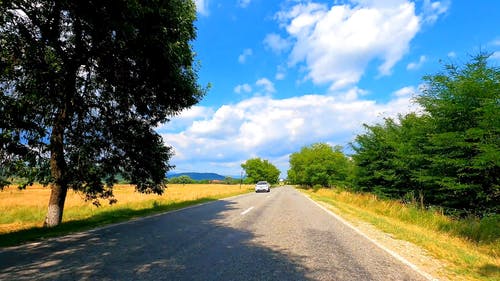 有关树木, 汽车, 游戏中时光倒流的免费素材视频