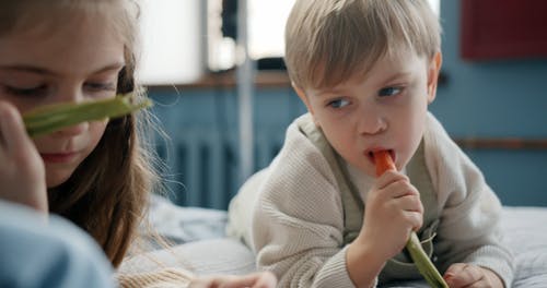 有关吃, 孩子, 小男孩的免费素材视频