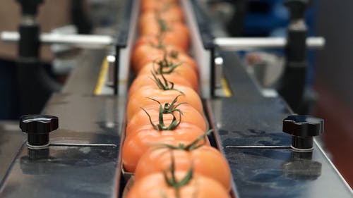 有关传送带, 工厂, 新鲜的免费素材视频