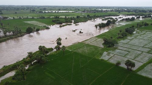 有关天性, 户外, 树木的免费素材视频
