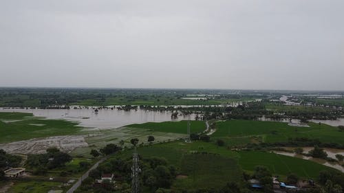 有关后雨, 树木, 潦的免费素材视频