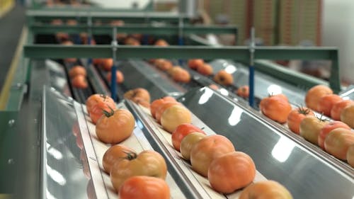 有关传送带, 工厂, 生产设施的免费素材视频