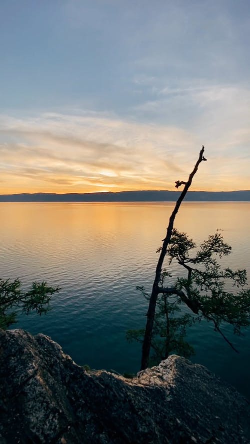 有关俄国, 垂直视频, 夏天的免费素材视频