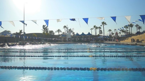 有关水,游泳,游泳池的免费素材视频