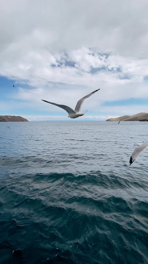 有关以上, 俄国, 垂直视频的免费素材视频