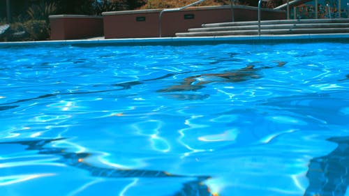 有关人, 半裸, 夏天的免费素材视频