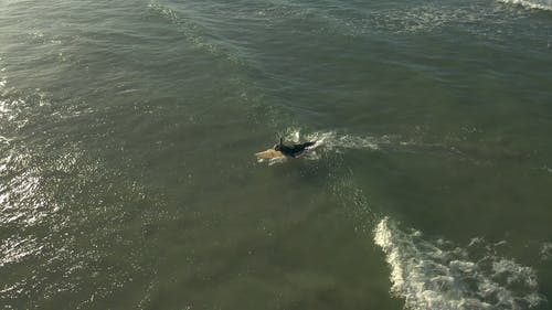 有关人, 户外, 早上的免费素材视频