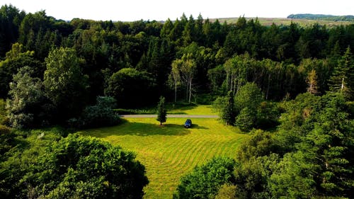有关天性, 景观, 树木的免费素材视频