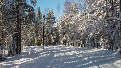 有关下雪的, 冬季, 冷的免费素材视频