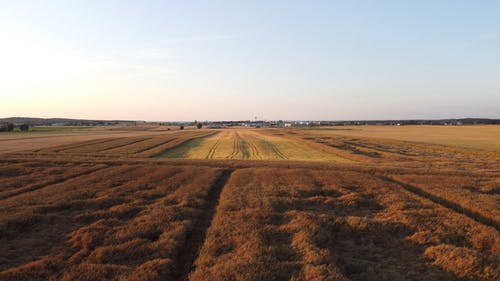 有关天性, 户外, 环境的免费素材视频