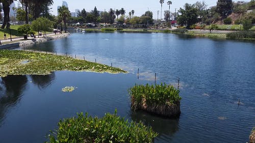 有关公园, 户外, 晴天的免费素材视频