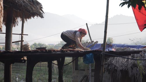有关在屋顶, 女人, 屋顶的免费素材视频
