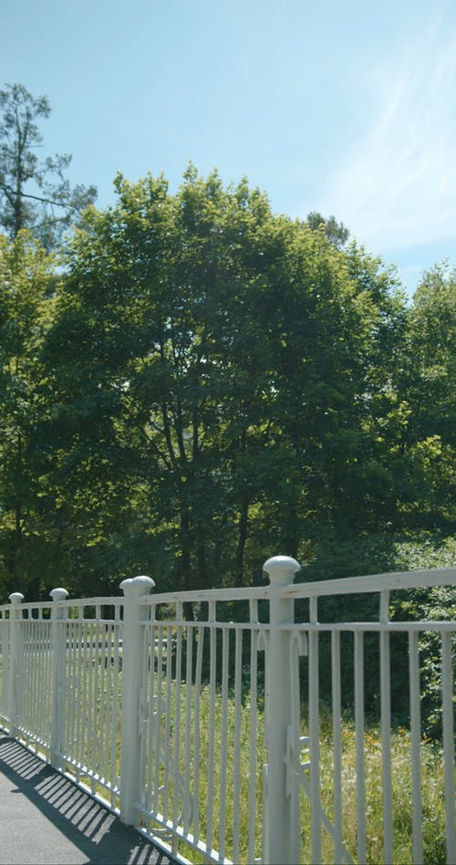 有关人, 公园, 垂直视频的免费素材视频