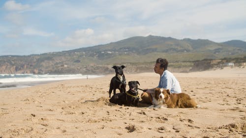 有关人, 伴侣, 夏天的免费素材视频