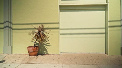 有关一对, 冲, 匹配的免费素材视频