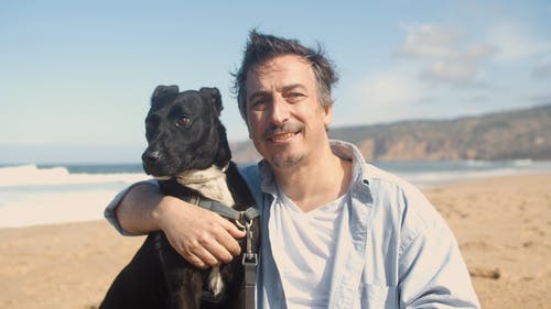 有关人, 家畜, 宠物的免费素材视频