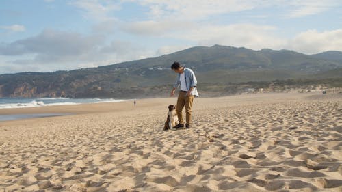 有关人, 夏天, 天空的免费素材视频