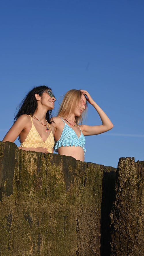 有关一起, 垂直视频, 墨镜的免费素材视频