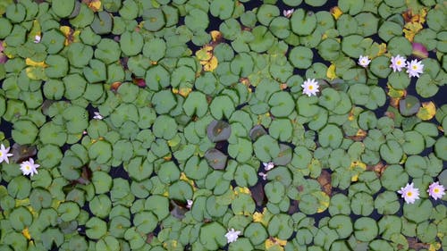 有关俯视图, 反射, 工厂的免费素材视频