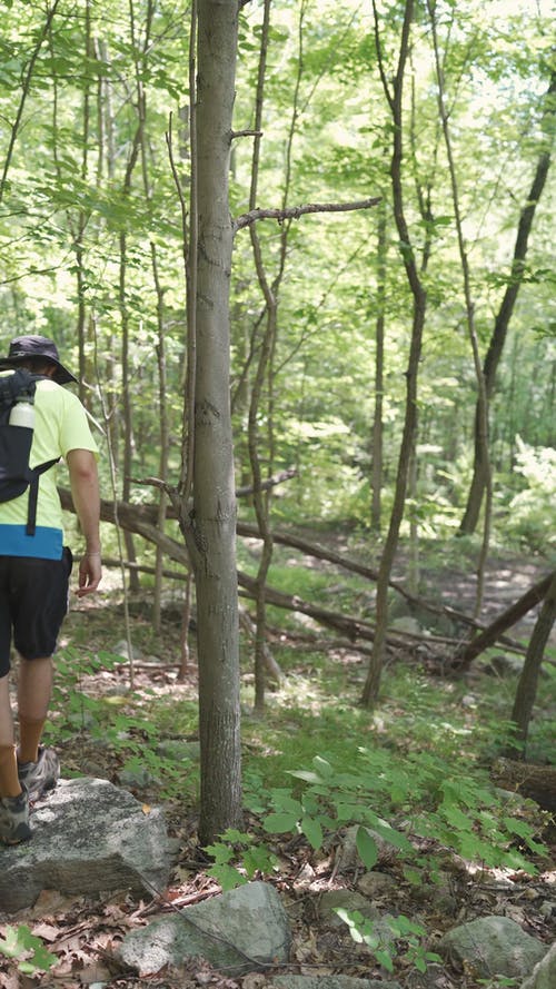 有关人, 冒险家, 冒险的免费素材视频