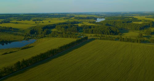 有关土地, 户外, 树木的免费素材视频