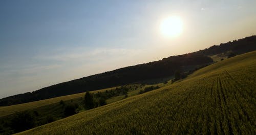 有关天性, 牧场, 环境的免费素材视频