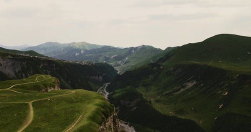 有关天性, 户外, 日光的免费素材视频