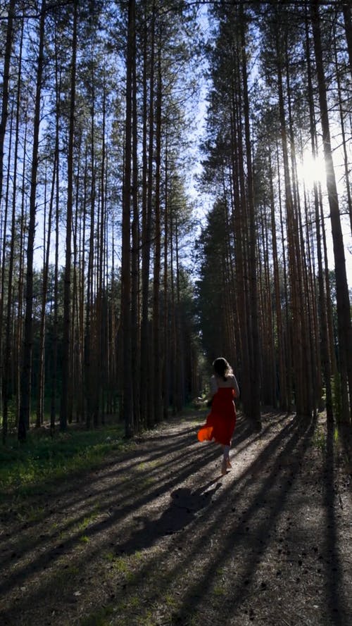 有关垂直视频, 女人, 户外的免费素材视频