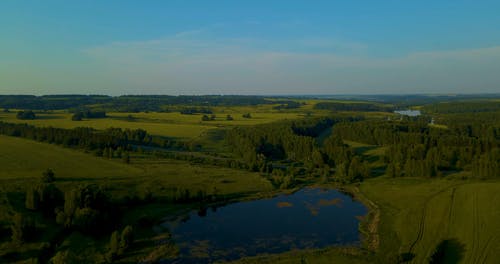 有关天性, 池塘, 环境的免费素材视频