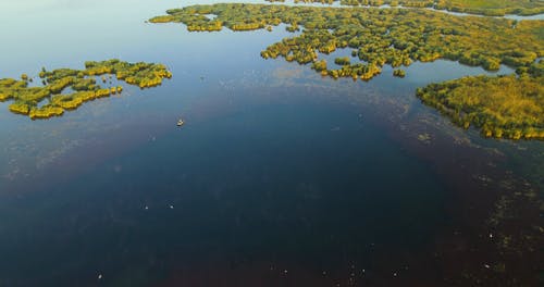 有关倾斜射击, 平静, 植物群的免费素材视频