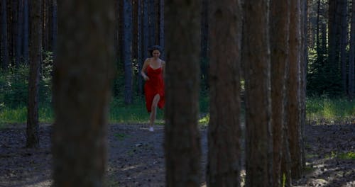 有关分裂, 勾引, 地面的免费素材视频