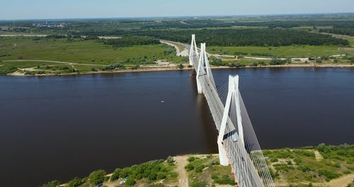 有关树木, 桥, 田的免费素材视频