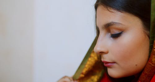 有关侧面图, 前额, 宾迪的免费素材视频