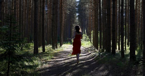 有关女人, 户外, 森林的免费素材视频