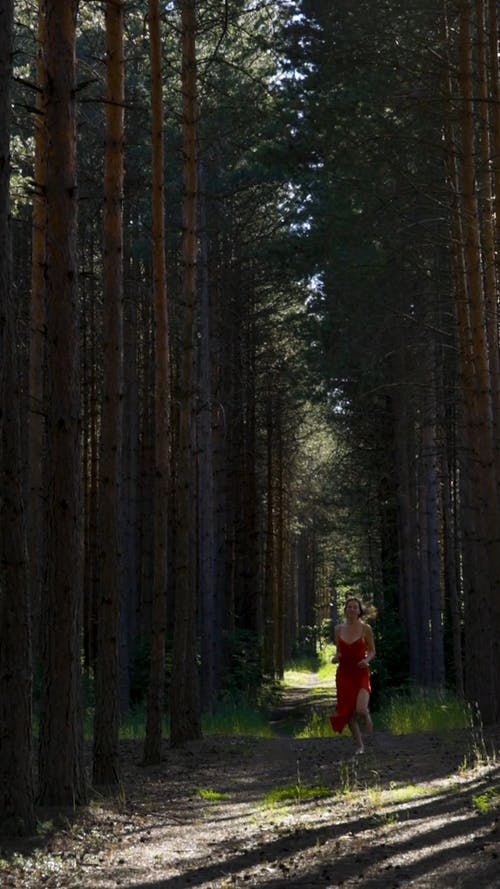 有关垂直视频, 天性, 女人的免费素材视频