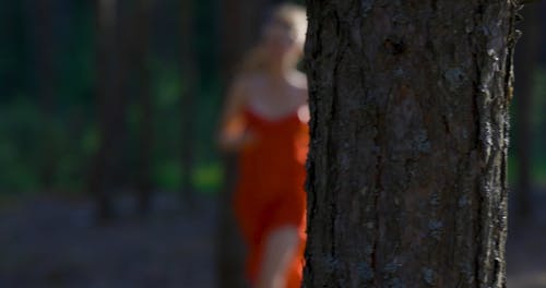 有关女人, 森林, 树木的免费素材视频