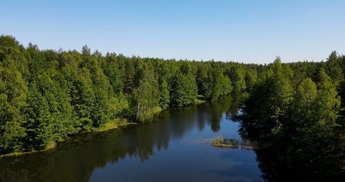 有关反射, 天性, 小河的免费素材视频