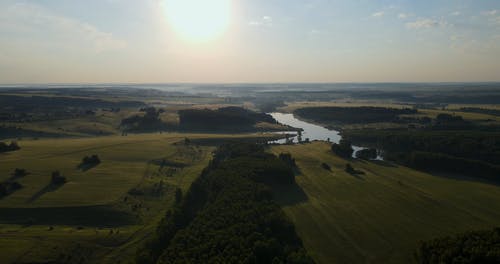 有关天性, 树木, 池塘的免费素材视频
