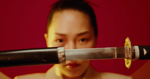 有关剑, 多样化, 日文的免费素材视频