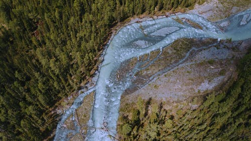 有关俄国, 天性, 户外的免费素材视频