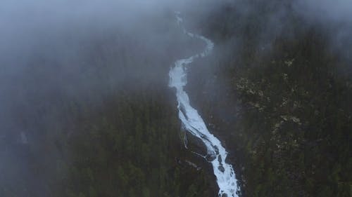 有关有雾, 树木, 水流动的免费素材视频