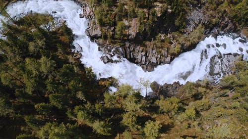 有关俄国, 天性, 树木的免费素材视频