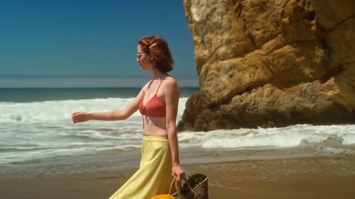 有关假期, 夏天, 天性的免费素材视频