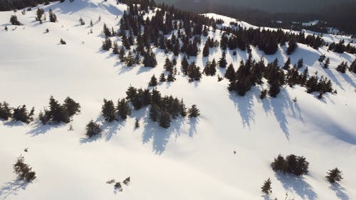 有关下雪的, 下雪的天气, 优美的风景的免费素材视频