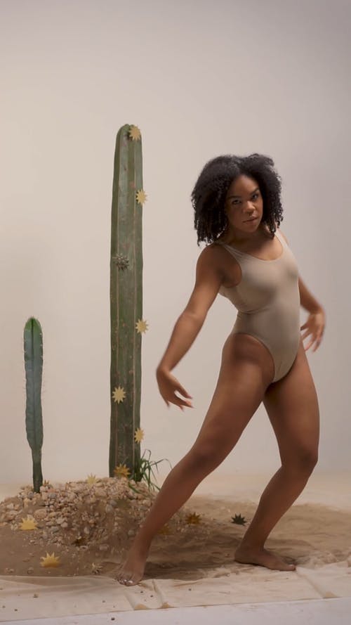 有关仙人掌, 内衣, 在集合上的免费素材视频