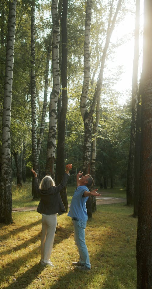 有关forestpark, 享受, 人的免费素材视频