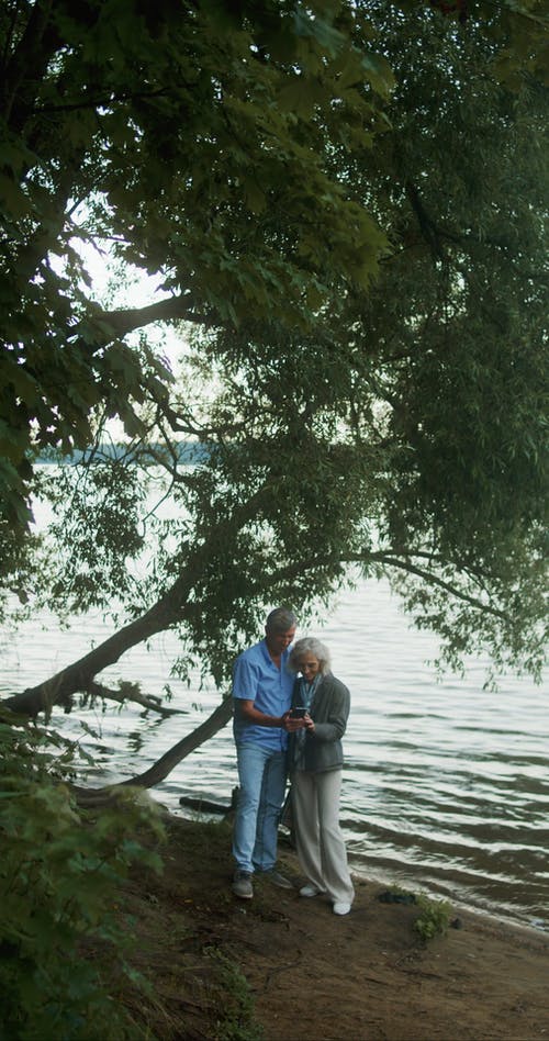 有关forestpark, 上网, 垂直视频的免费素材视频